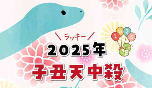 子丑天中殺の2025年運勢【日運の早見表付き】